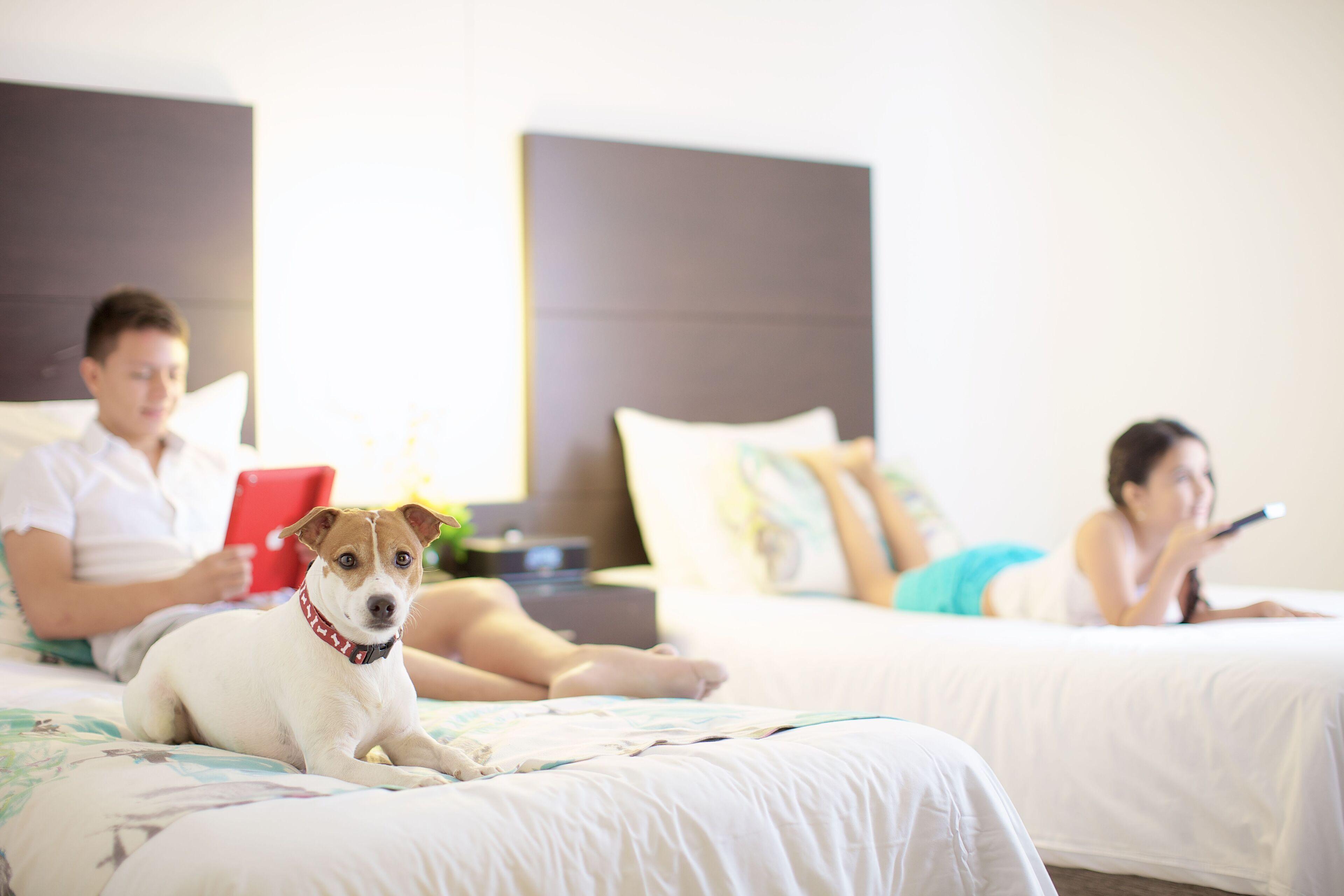 Capilla Del Mar Cartagena